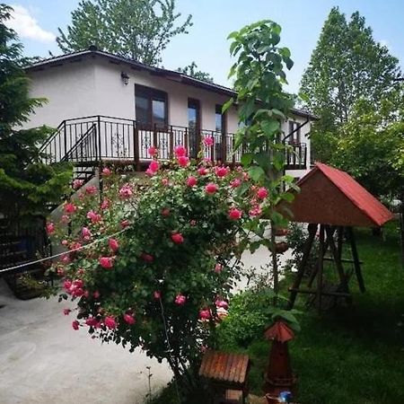 Casa Tibi Si Nico Otel Eforie Nord Dış mekan fotoğraf